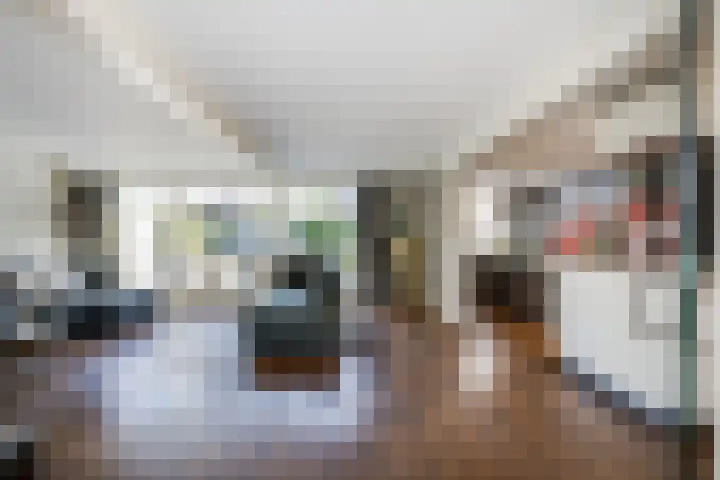 Meerewijck 34 Leimuiden thumbnail 15