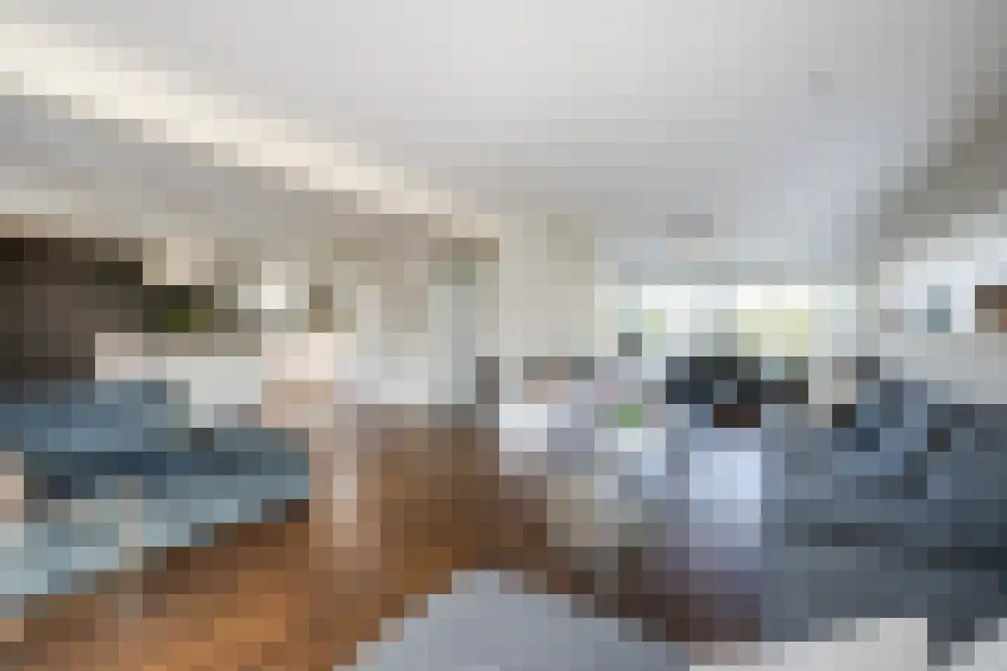 Meerewijck 34 Leimuiden thumbnail 18