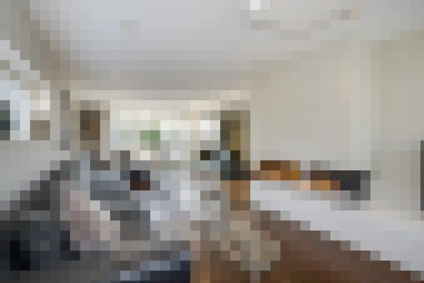 Meerewijck 34 Leimuiden thumbnail 20