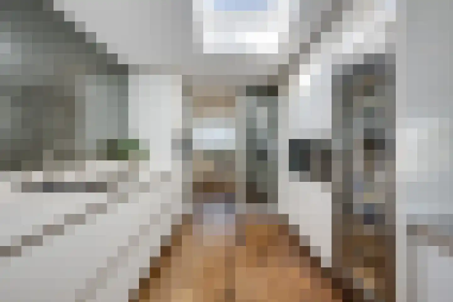 Meerewijck 34 Leimuiden thumbnail 25