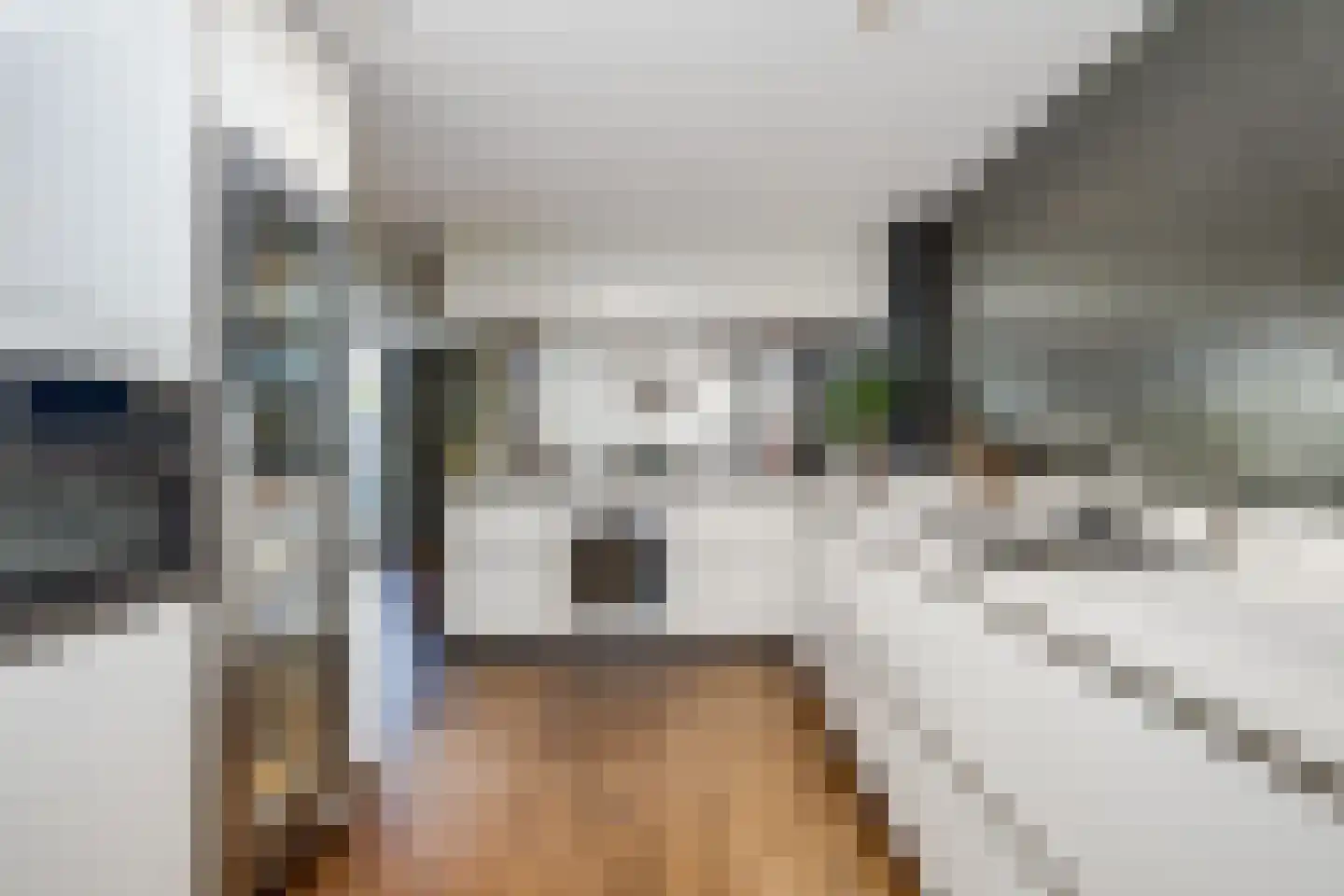 Meerewijck 34 Leimuiden thumbnail 26