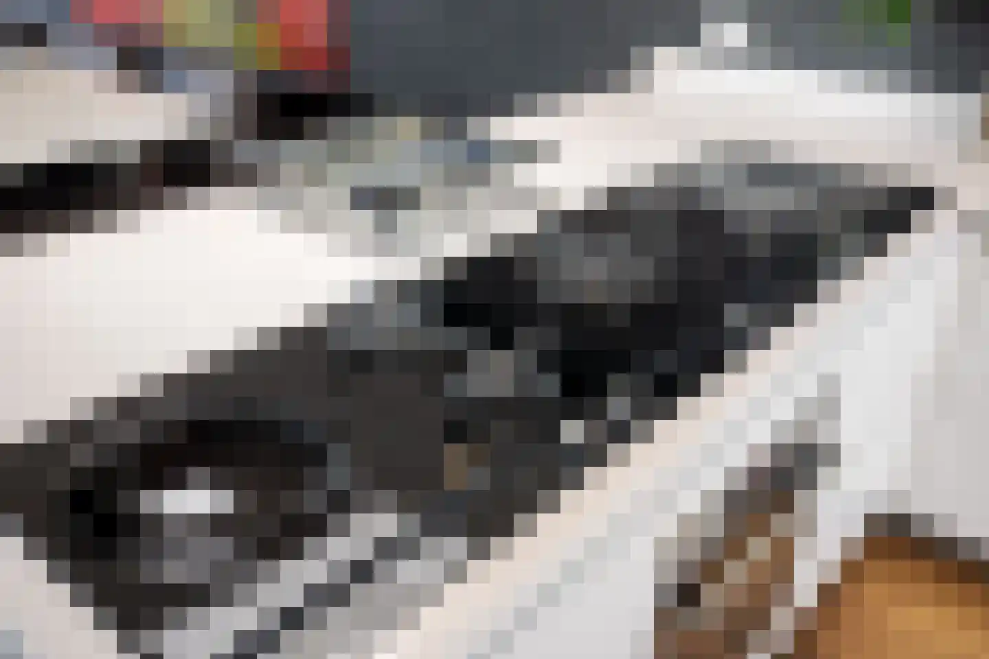 Meerewijck 34 Leimuiden thumbnail 28