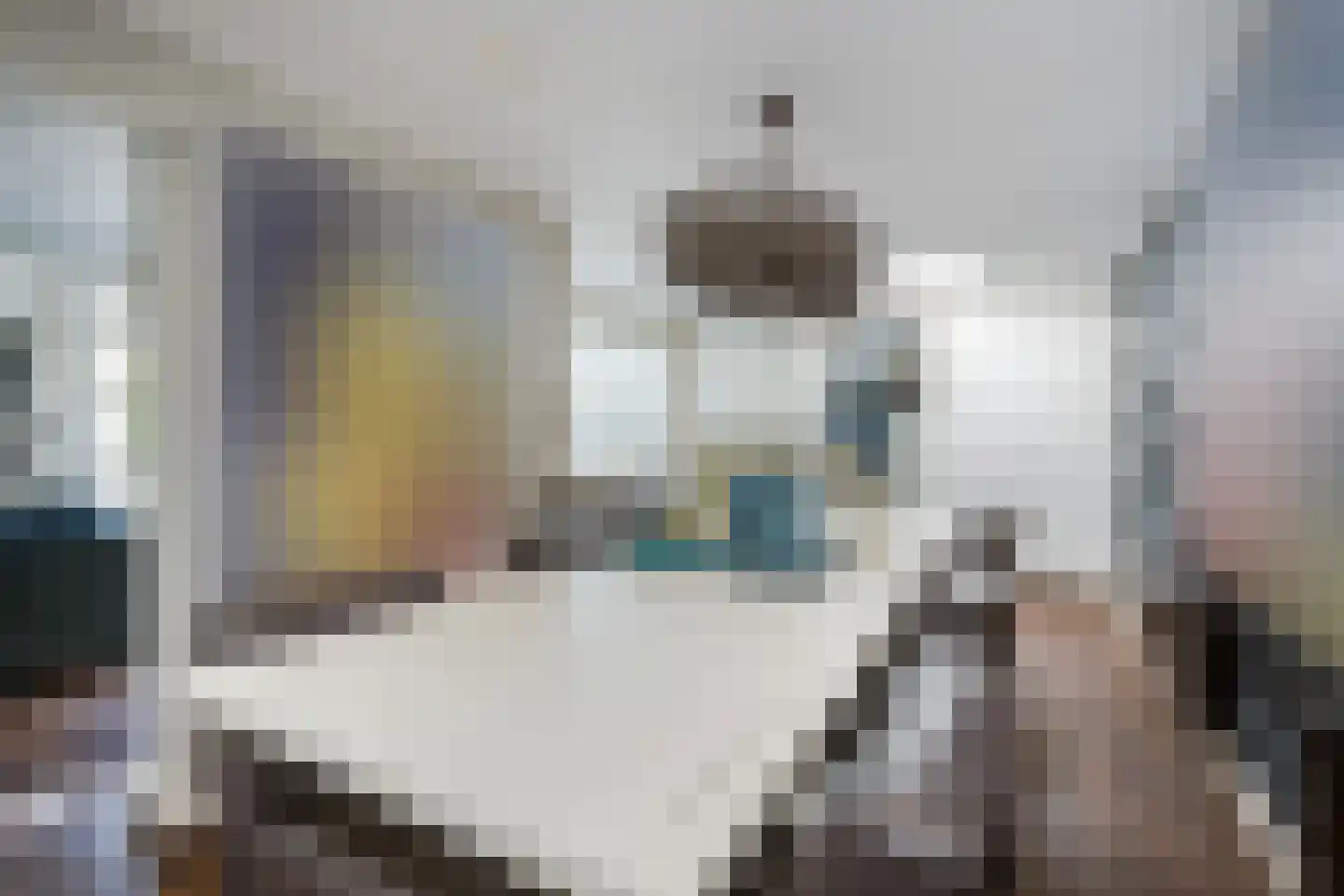 Meerewijck 34 Leimuiden thumbnail 30