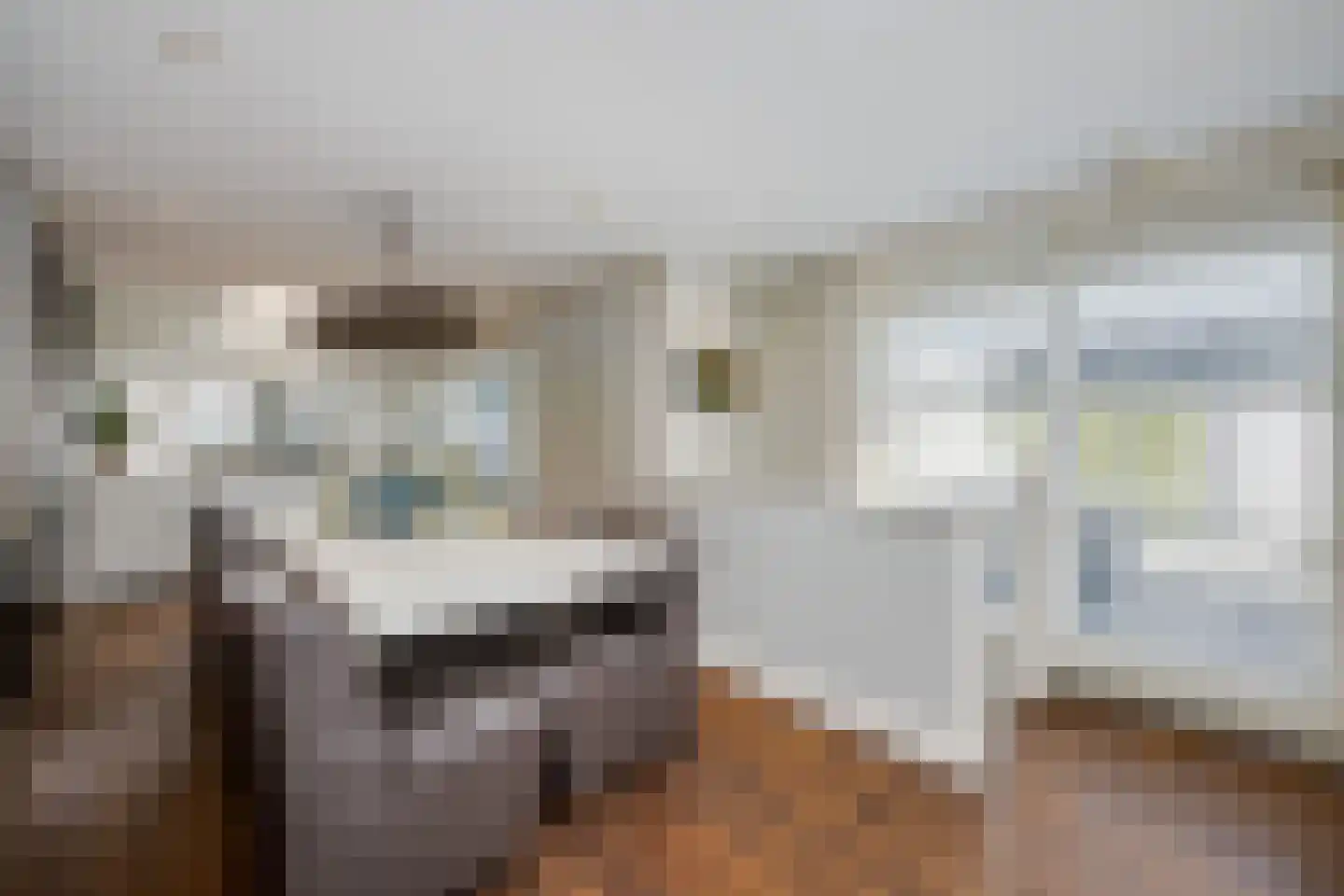 Meerewijck 34 Leimuiden thumbnail 31