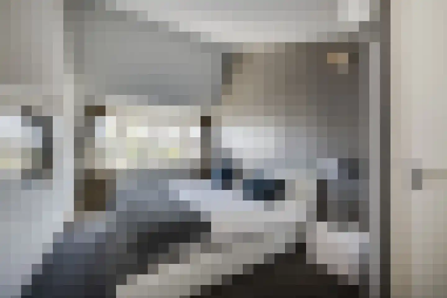 Meerewijck 34 Leimuiden thumbnail 39
