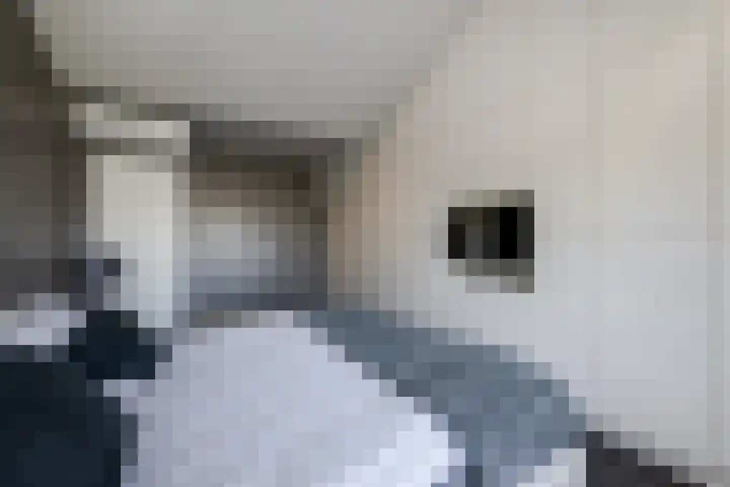 Meerewijck 34 Leimuiden thumbnail 40