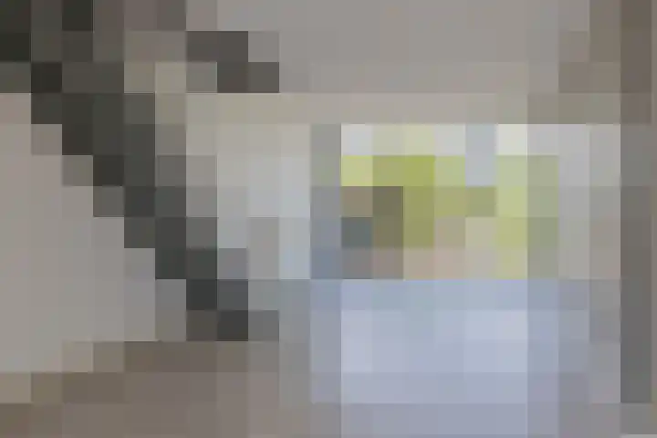 Meerewijck 44 Leimuiden thumbnail 11