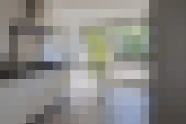 Meerewijck 44 Leimuiden thumbnail 17