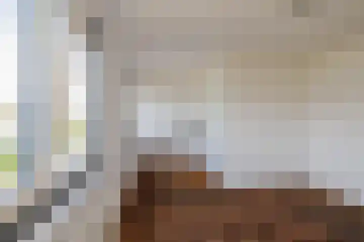 Meerewijck 44 Leimuiden thumbnail 26