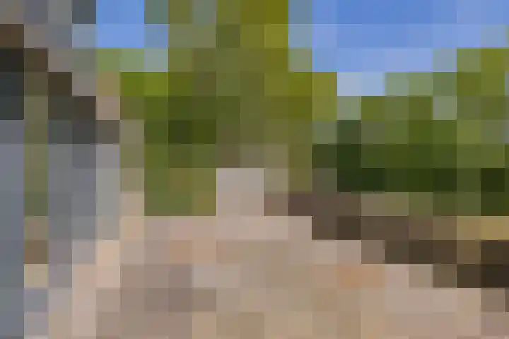 Meerewijck 44 Leimuiden thumbnail 36