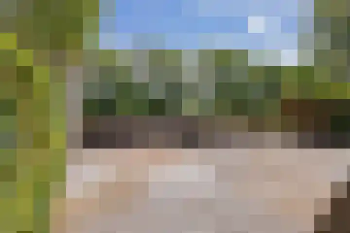 Meerewijck 44 Leimuiden thumbnail 37