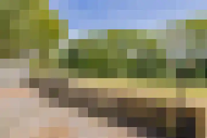 Meerewijck 44 Leimuiden thumbnail 39