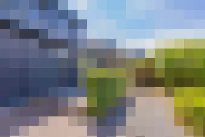 Meerewijck 44 Leimuiden thumbnail 4