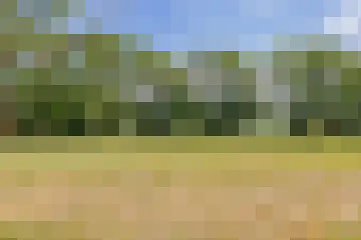 Meerewijck 44 Leimuiden thumbnail 40