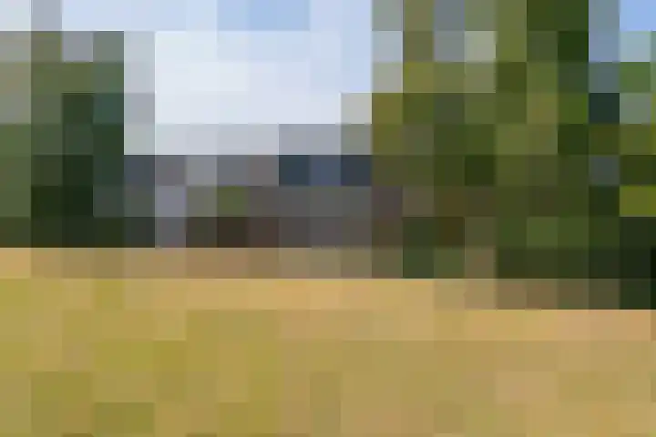 Meerewijck 44 Leimuiden thumbnail 41
