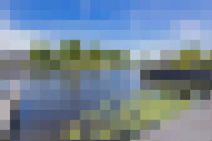 Meerewijck 44 Leimuiden thumbnail 42