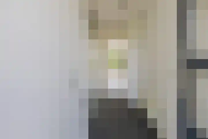 Meerewijck 44 Leimuiden thumbnail 5