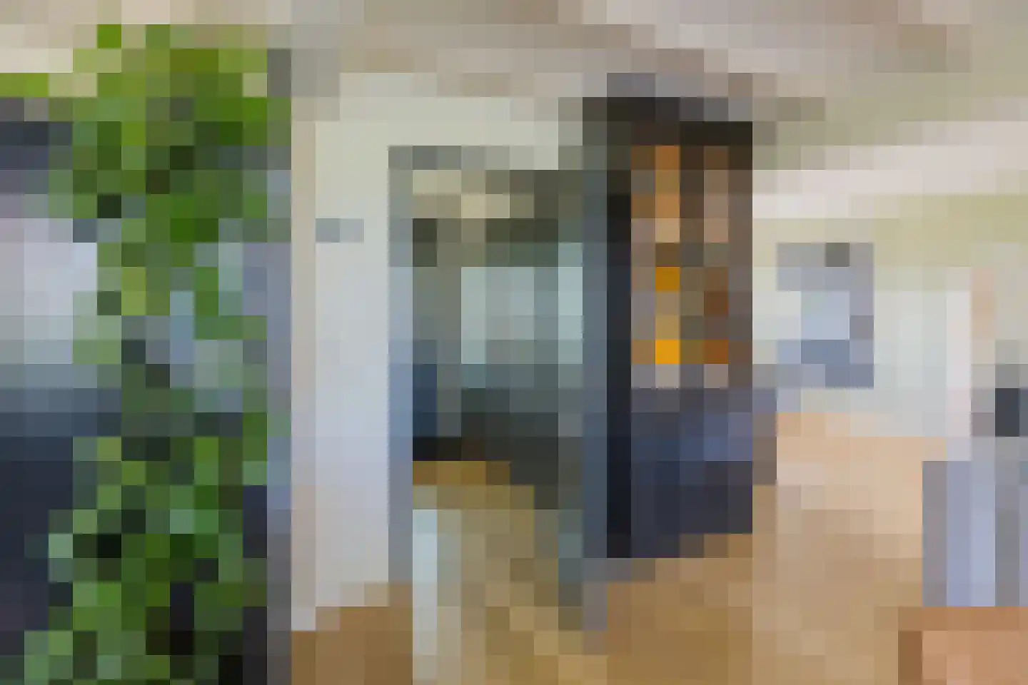 Meerewijck 50 Leimuiden thumbnail 10