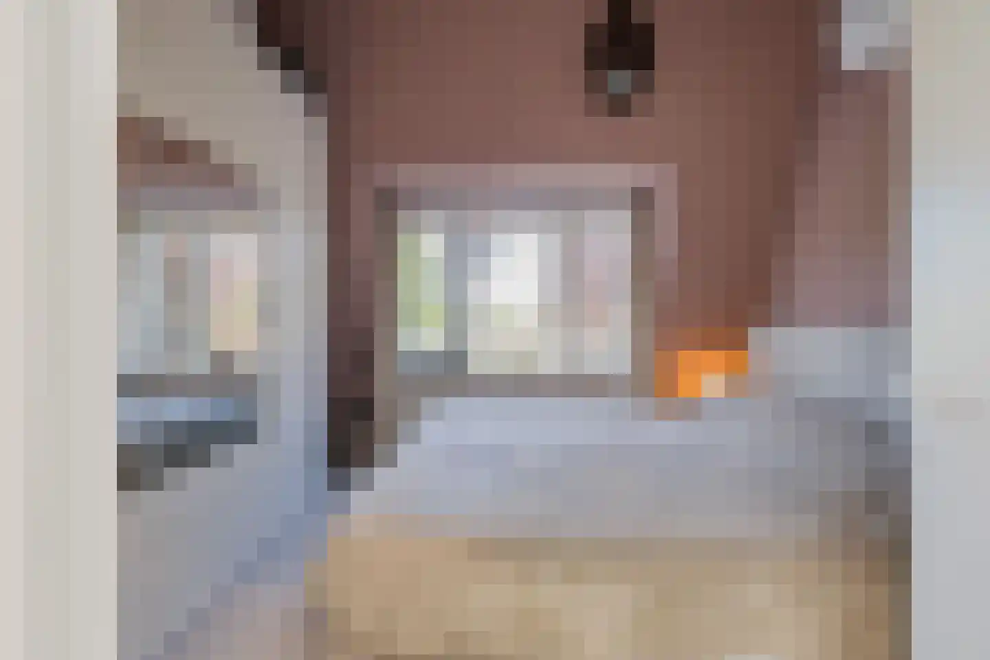 Meerewijck 50 Leimuiden thumbnail 29
