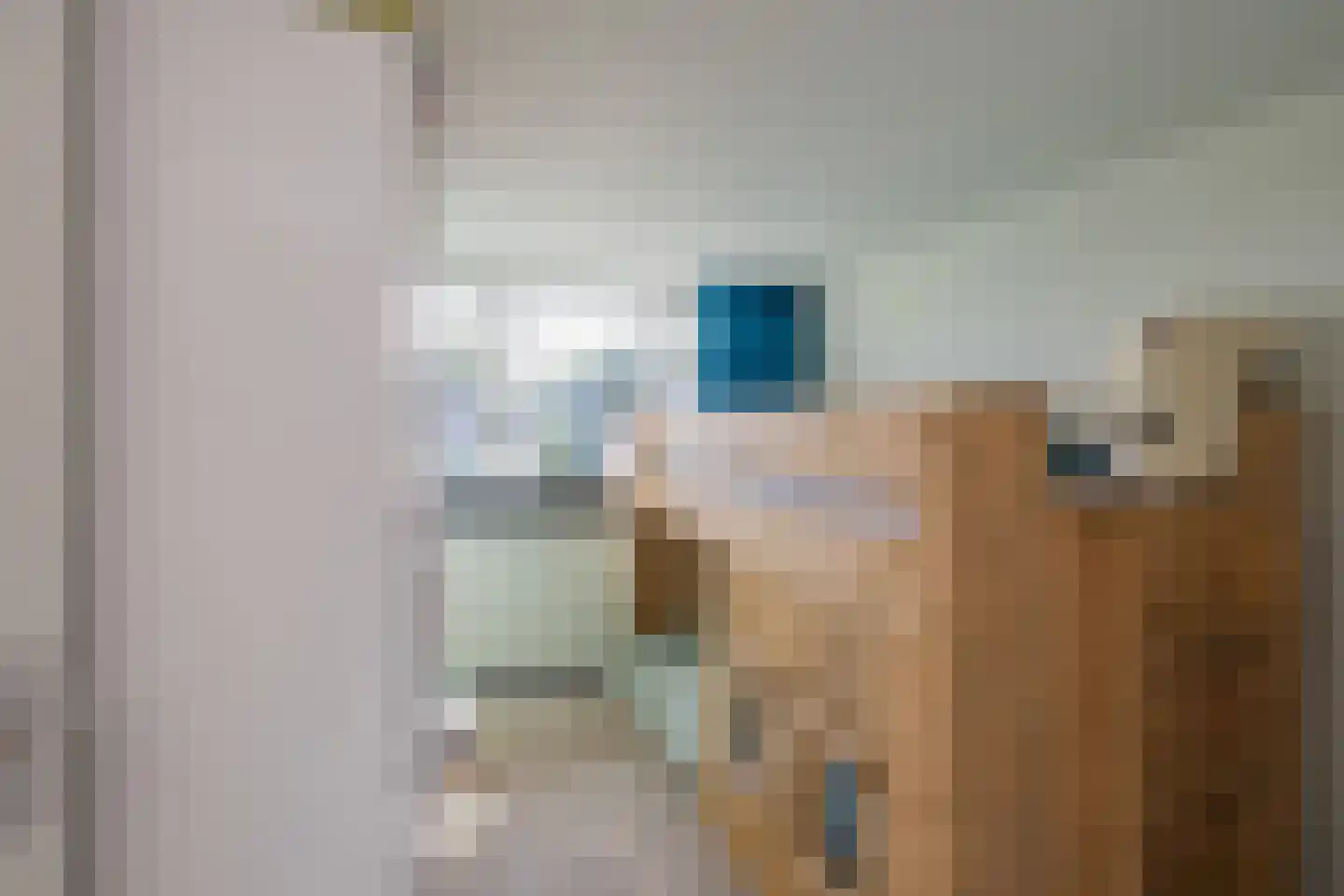 Meerewijck 50 Leimuiden thumbnail 31