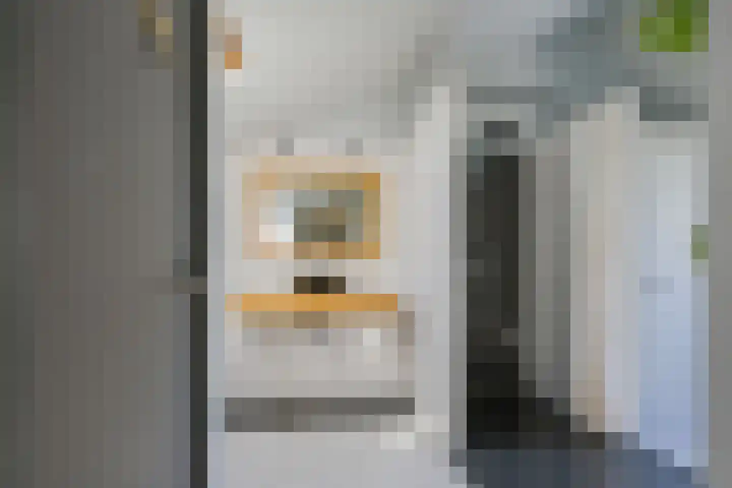 Meerewijck 50 Leimuiden thumbnail 32