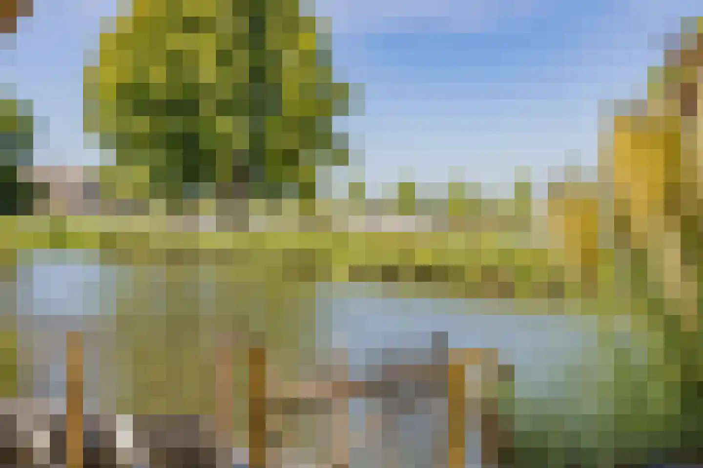 Meerewijck 50 Leimuiden thumbnail 39