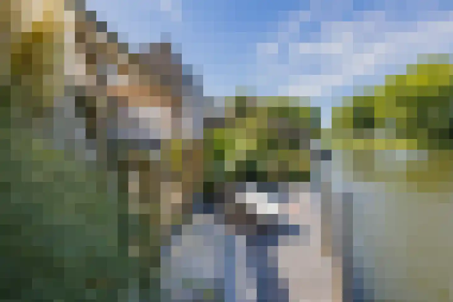 Meerewijck 50 Leimuiden thumbnail 42