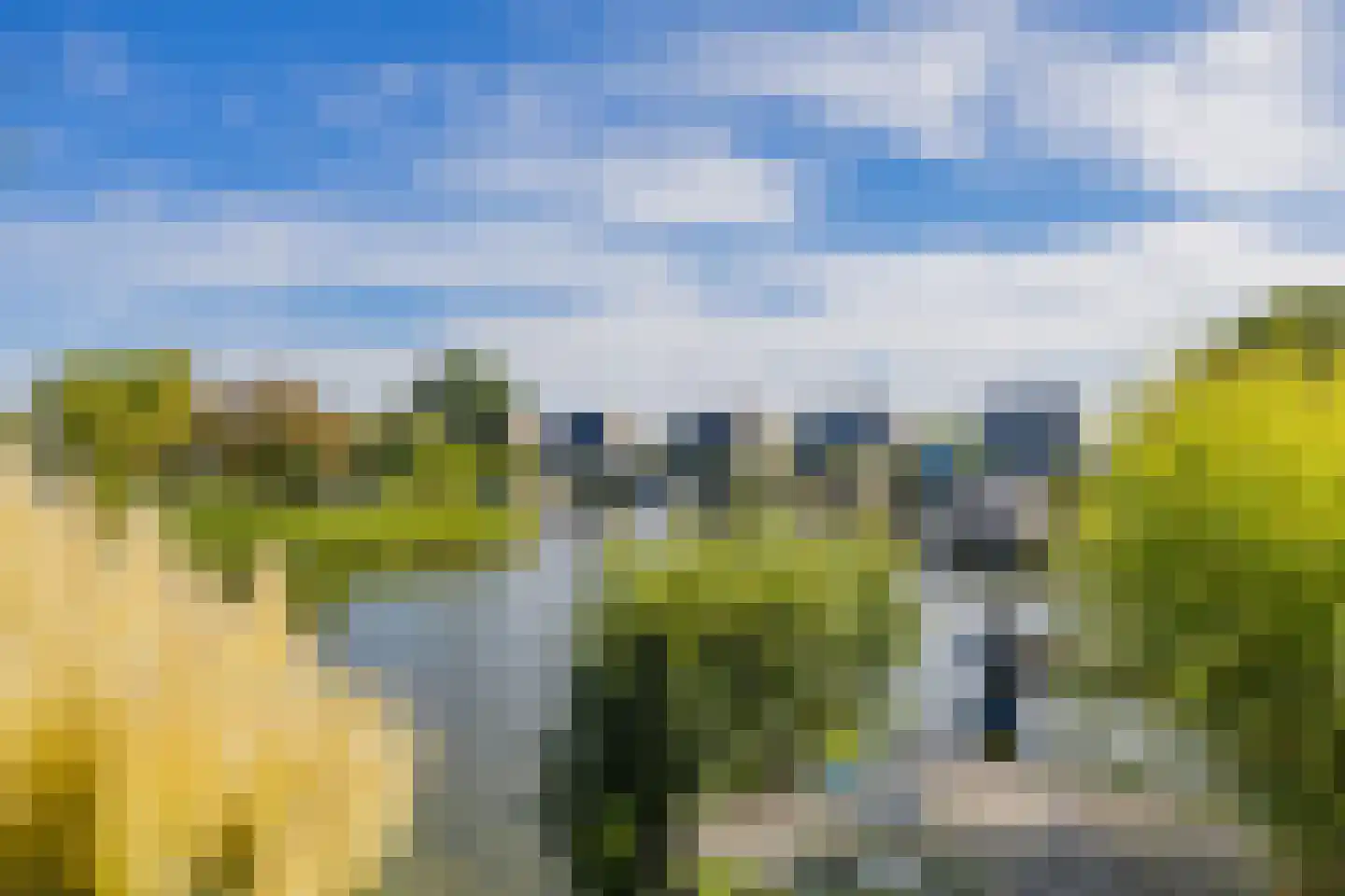Meerewijck 50 Leimuiden thumbnail 43