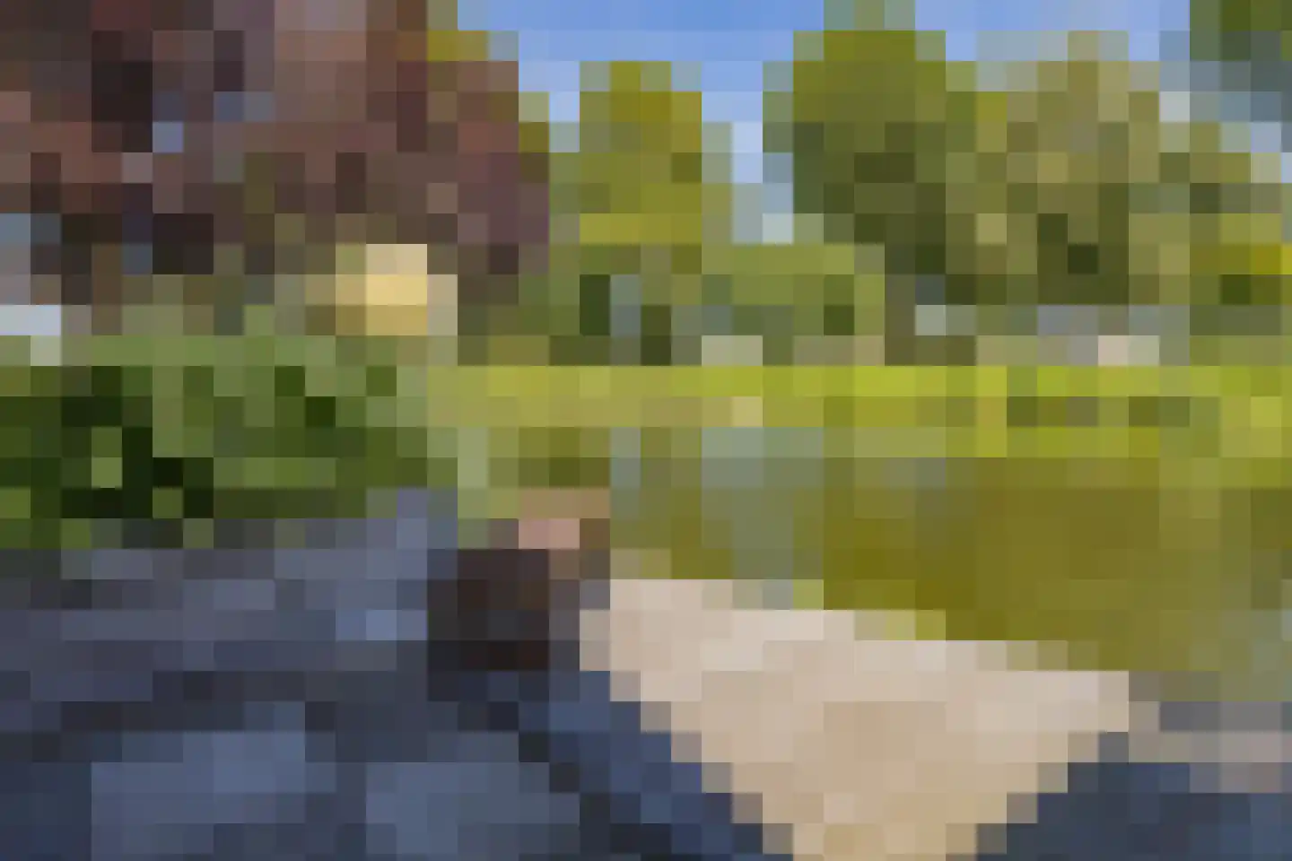 Meerewijck 50 Leimuiden thumbnail 46