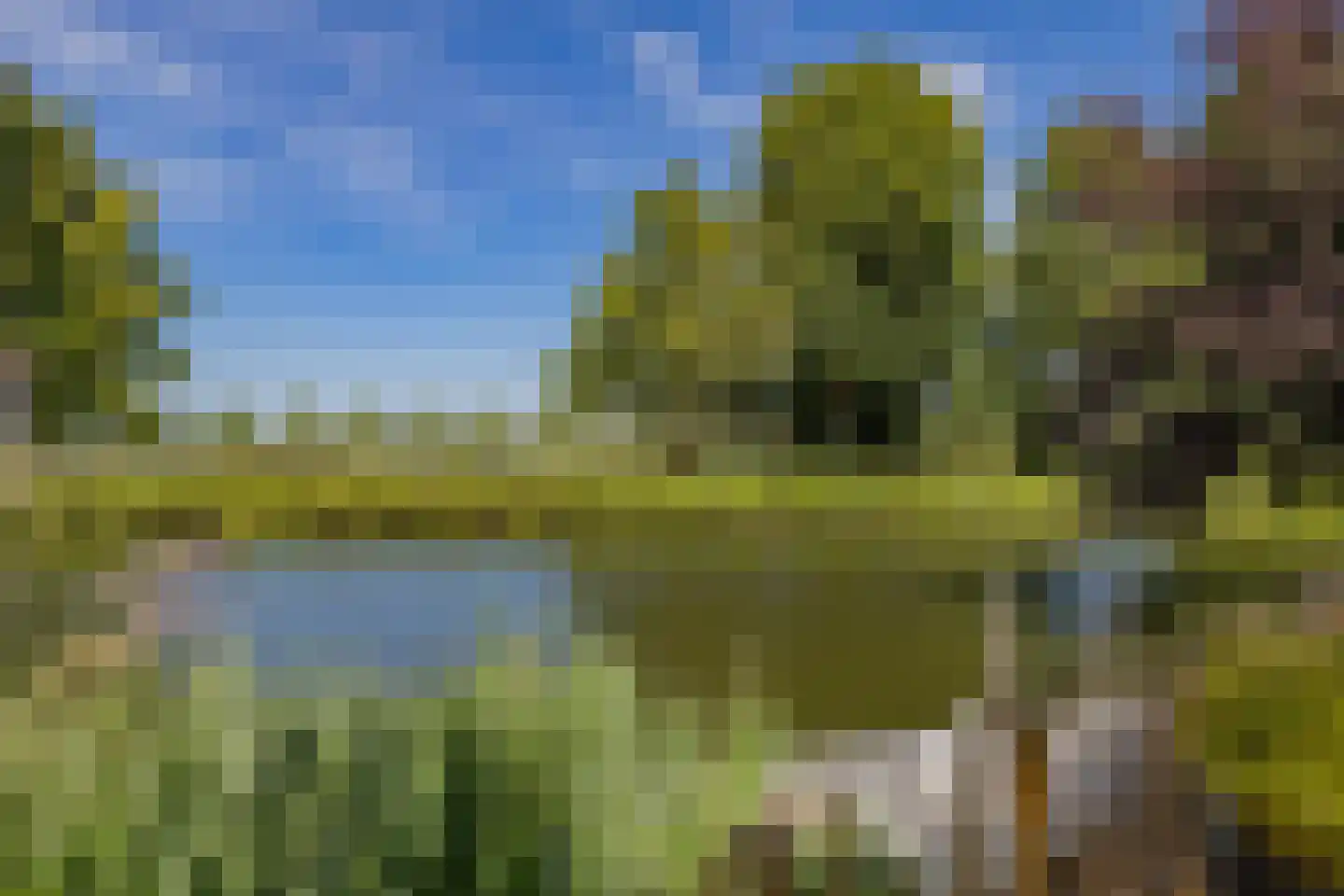 Meerewijck 50 Leimuiden thumbnail 49