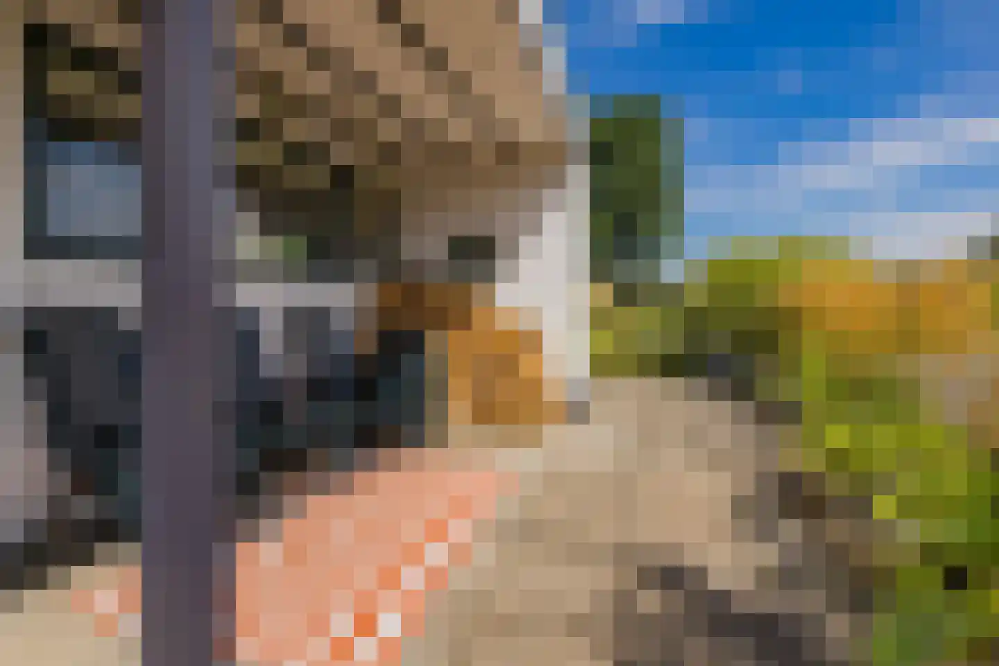 Meerewijck 50 Leimuiden thumbnail 50