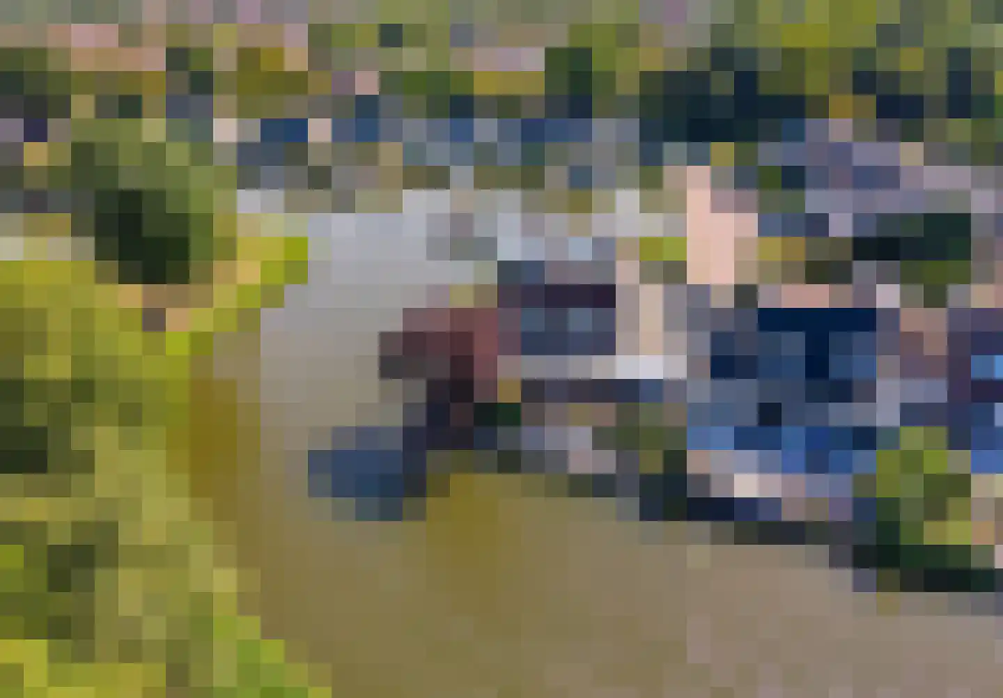 Meerewijck 50 Leimuiden thumbnail 54