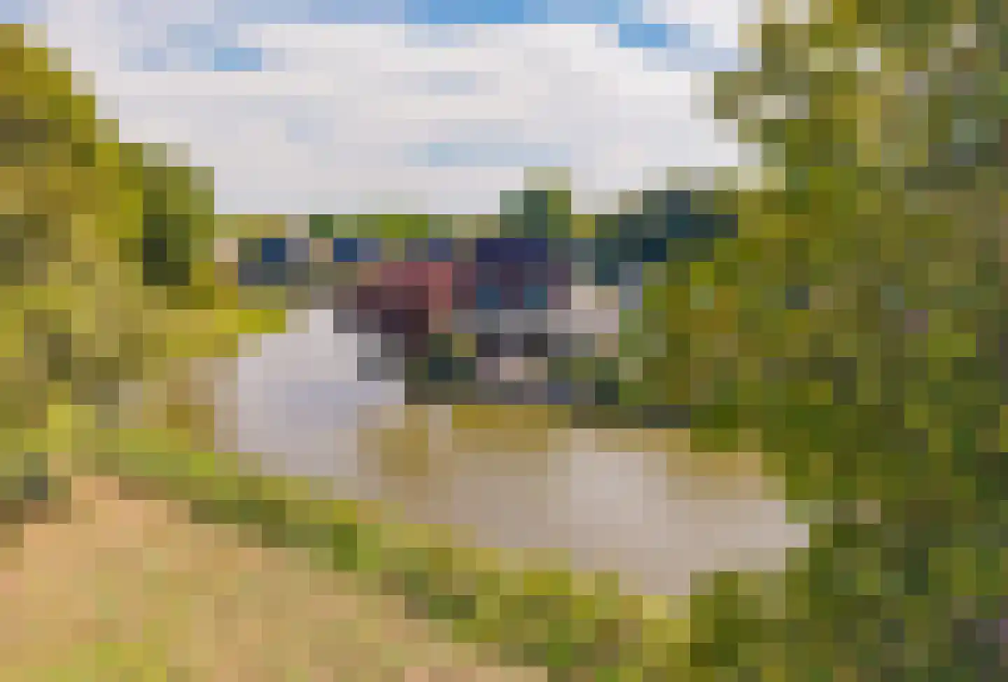 Meerewijck 50 Leimuiden thumbnail 55