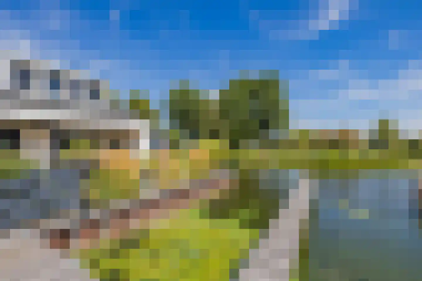 Meerewijck 50 Leimuiden thumbnail 7