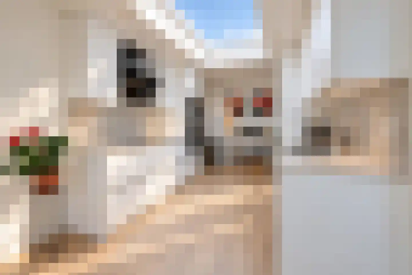 Meerewijck 57 Leimuiden thumbnail 15