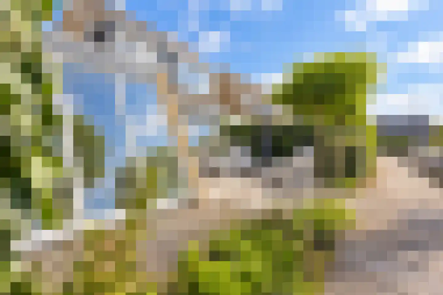 Meerewijck 57 Leimuiden thumbnail 30