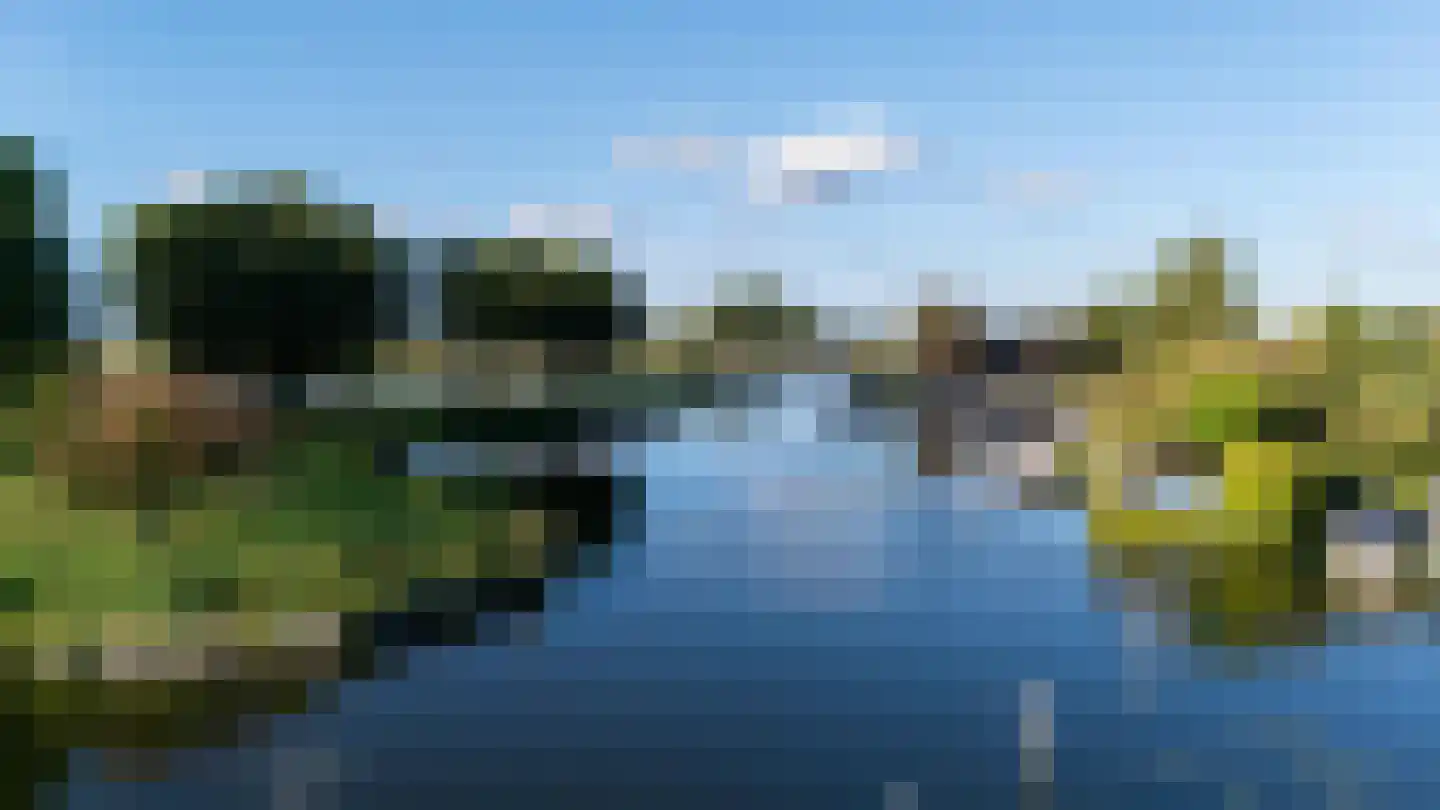 Meerewijck 57 Leimuiden thumbnail 4