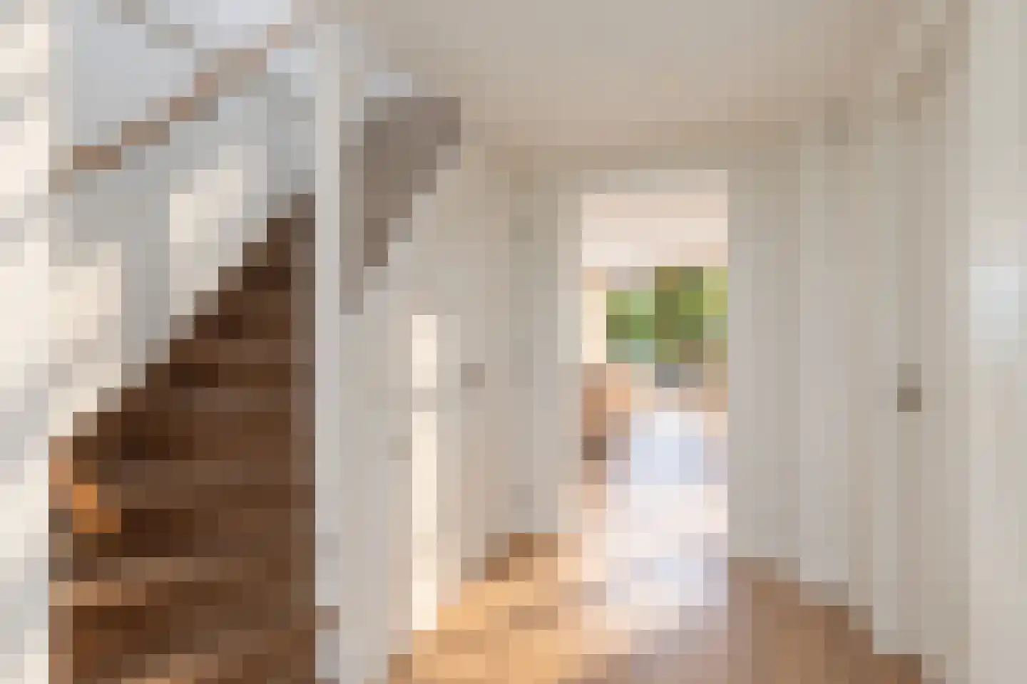 Meerewijck 57 Leimuiden thumbnail 6