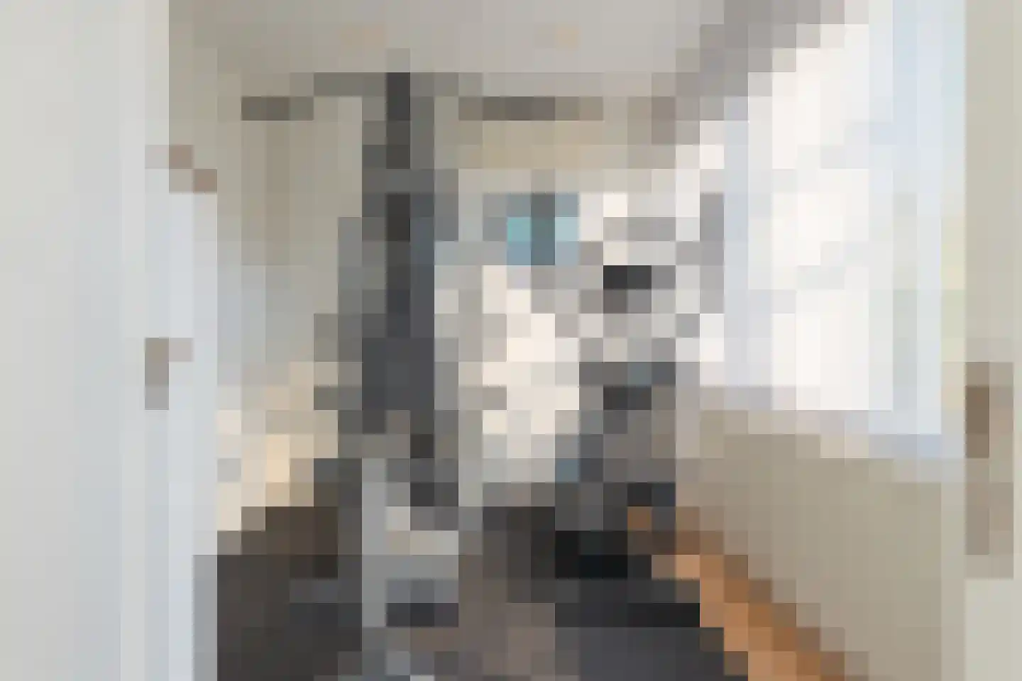Meerewijck 57 Leimuiden thumbnail 8