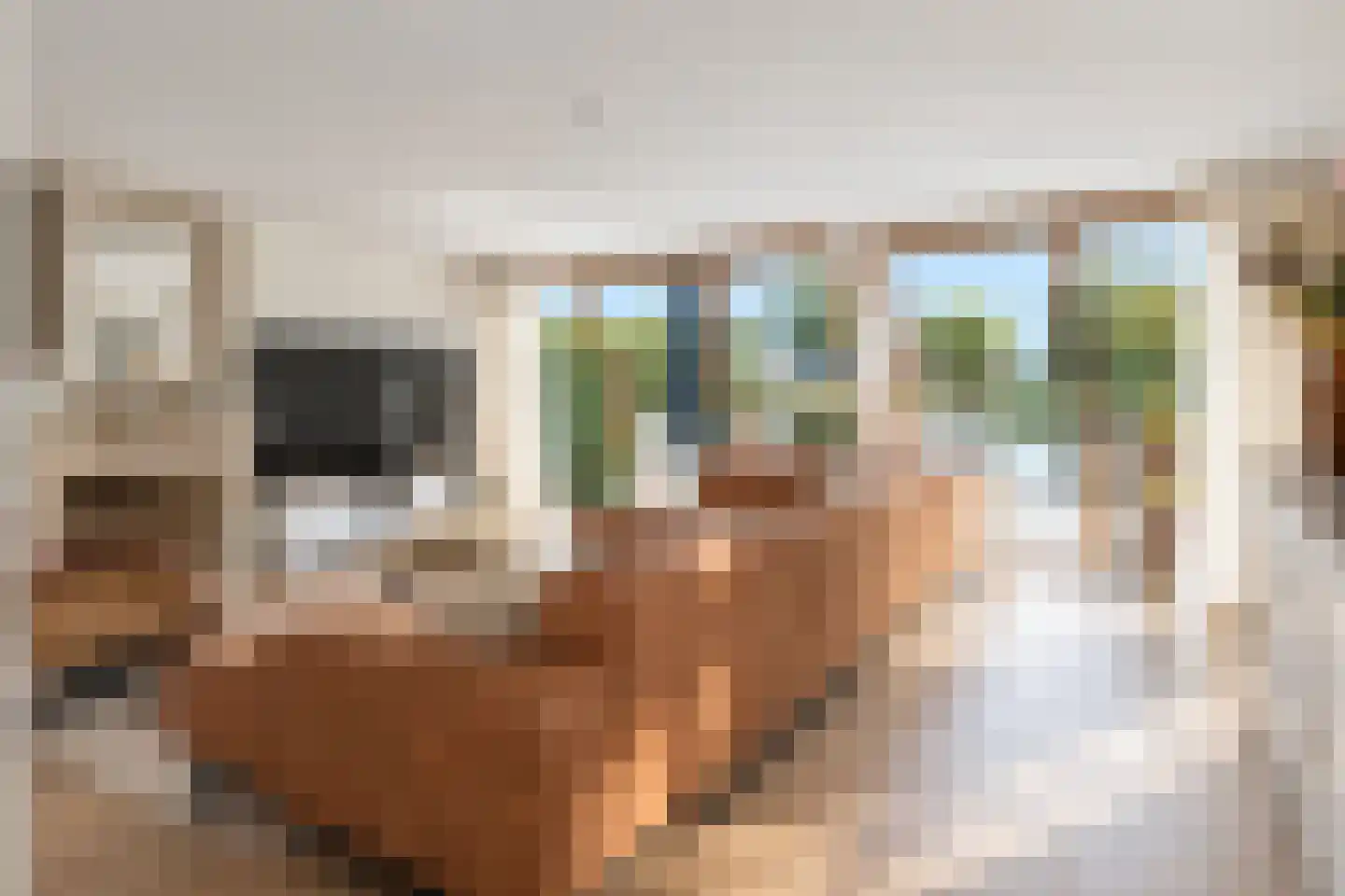 Meerewijck 57 Leimuiden thumbnail 9