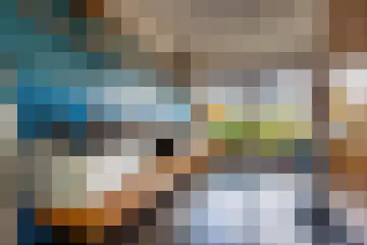 Meerewijck 66 Leimuiden thumbnail 18