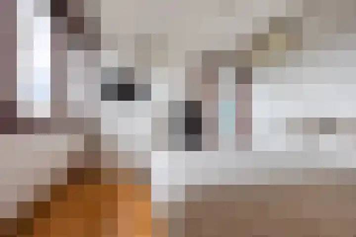 Meerewijck 66 Leimuiden thumbnail 25