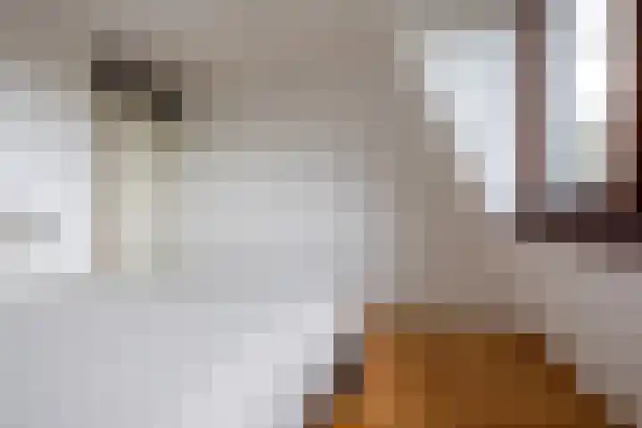 Meerewijck 66 Leimuiden thumbnail 26