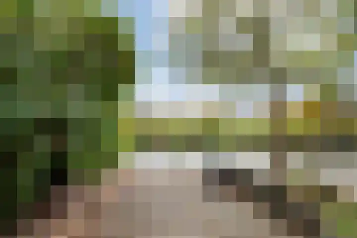 Meerewijck 66 Leimuiden thumbnail 44