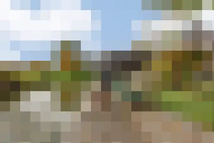 Meerewijck 66 Leimuiden thumbnail 46