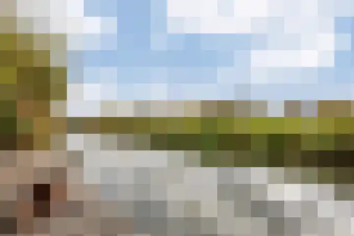 Meerewijck 66 Leimuiden thumbnail 47