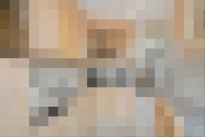 Meergraaf 14 Zoelen thumbnail 11