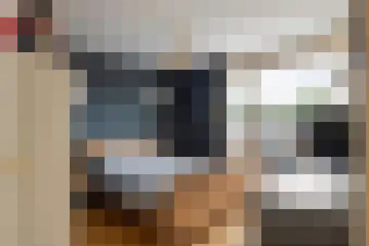 Meergraaf 14 Zoelen thumbnail 15
