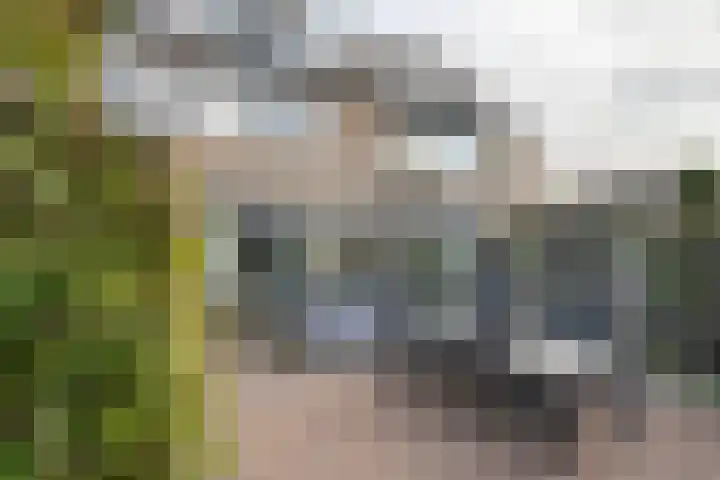 Meergraaf 14 Zoelen thumbnail 34