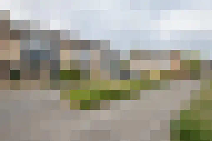 Meergraaf 14 Zoelen thumbnail 37